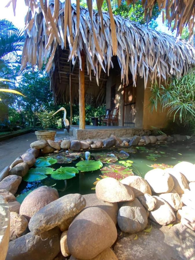 Bed and Breakfast Private Organic House Udawalawe Exterior foto