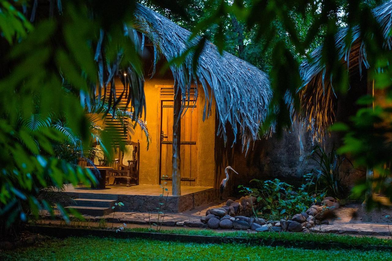 Bed and Breakfast Private Organic House Udawalawe Exterior foto
