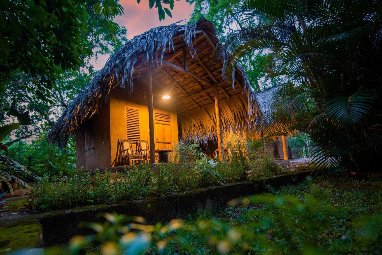 Bed and Breakfast Private Organic House Udawalawe Exterior foto