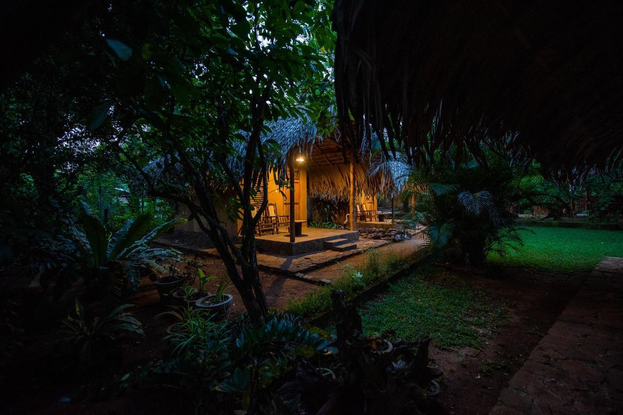 Bed and Breakfast Private Organic House Udawalawe Exterior foto