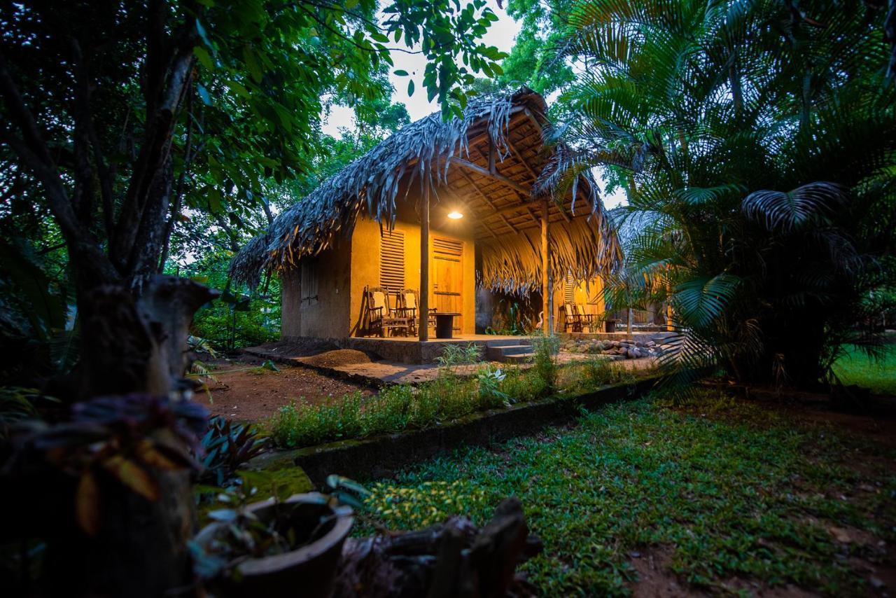 Bed and Breakfast Private Organic House Udawalawe Exterior foto